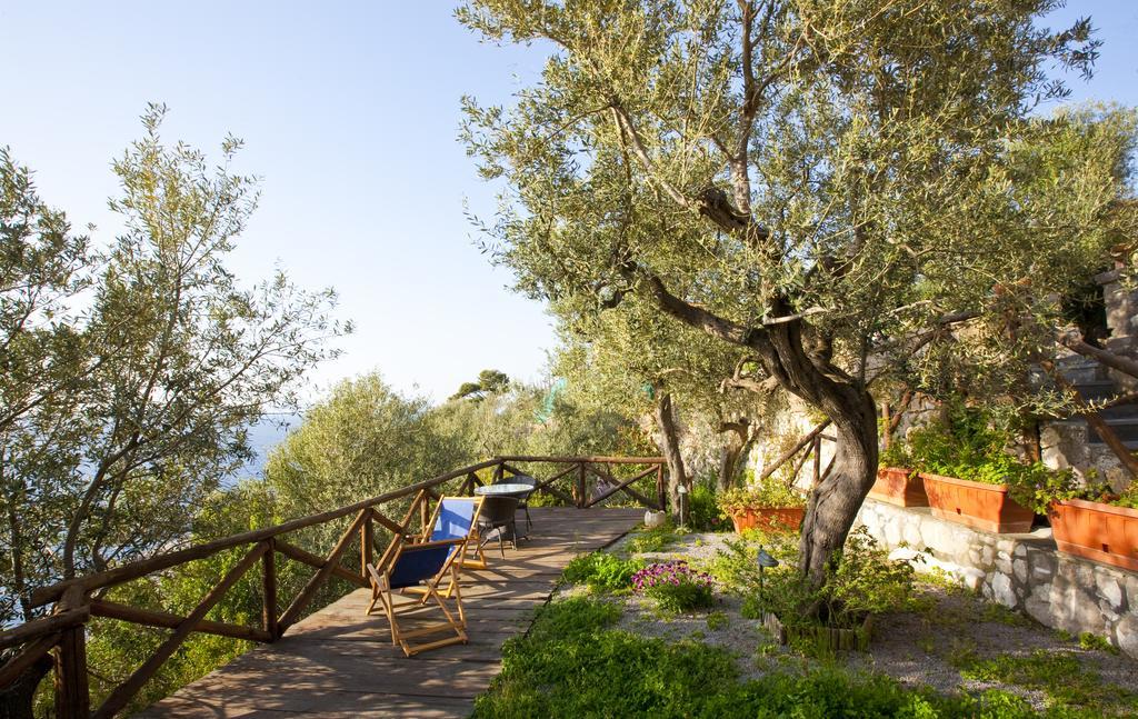 Villa Angelina Massa Lubrense Exterior photo